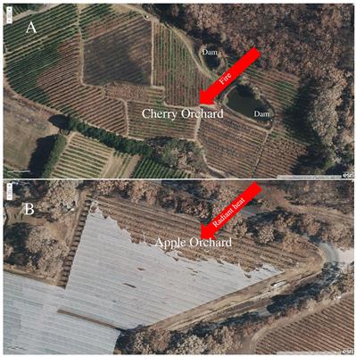 Building bushfire resilience in horticultural production systems: important insights from Australia